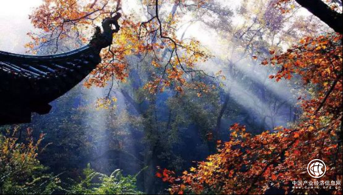 簡(jiǎn)一要在長(zhǎng)沙“四店齊開(kāi)”，超4000㎡旗艦店等你來(lái)！