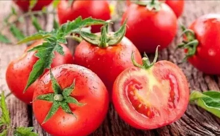 范忠福出席北斗星蔬菜有限公司簽約