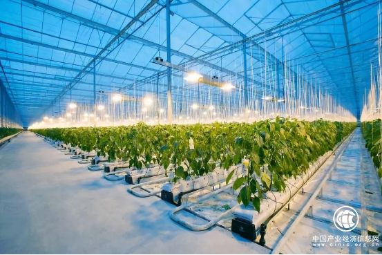 范忠福出席北斗星蔬菜有限公司簽約