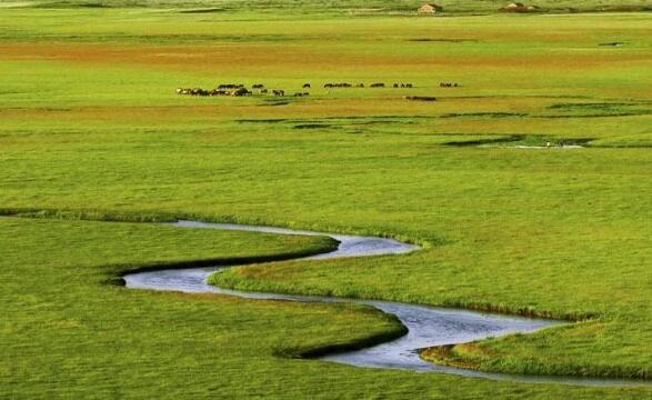 內(nèi)蒙古“十四五”期間種草改良超1億畝