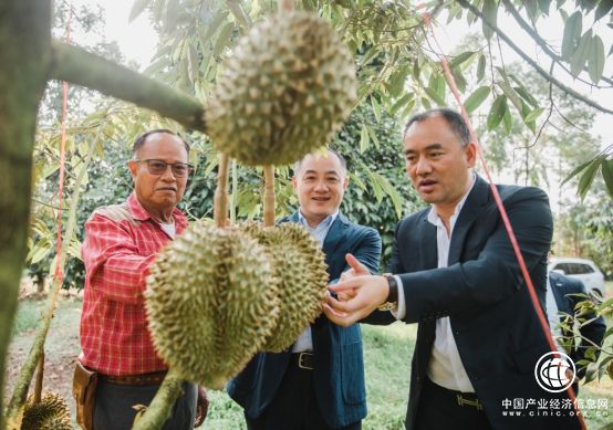長在深山的純天然野蘋果？蘇寧618有望嘗到！