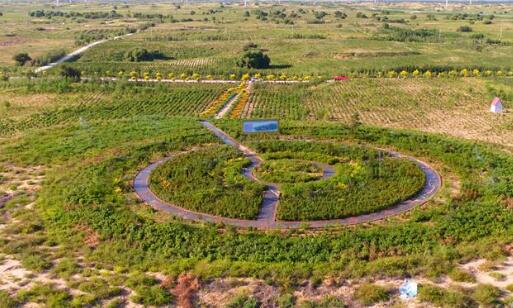 通遼市“生態(tài)修復促扶貧”模式入選首批全球最佳案例