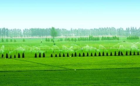 河南：多舉措助力高標準農(nóng)田建設(shè) 打造“中原糧倉”