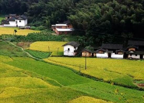 四川規(guī)范實施“點狀用地”政策 助推鄉(xiāng)村振興