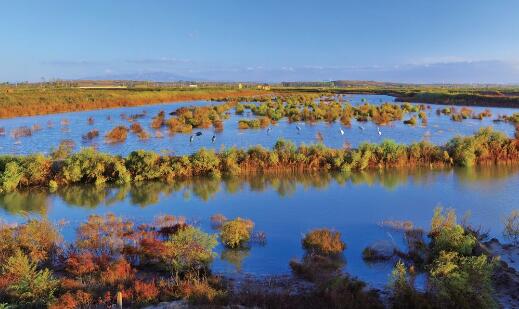 我國新增22處國家重要濕地