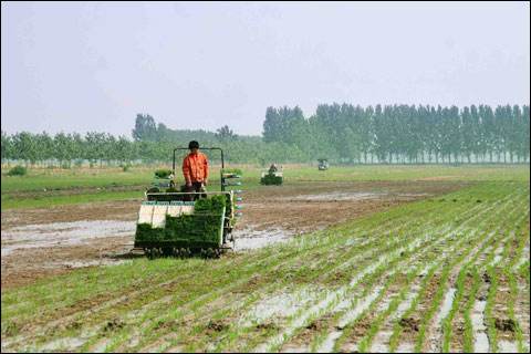 河南省夏播進(jìn)度超九成 需警惕“旱澇急轉(zhuǎn)”潛在風(fēng)險(xiǎn)