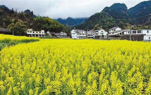 春日旅游紅火 新場(chǎng)景激發(fā)消費(fèi)新活力