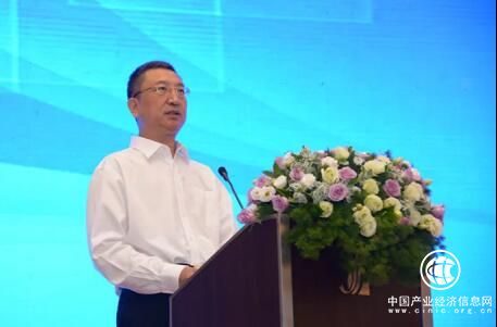 王新哲：電子信息產(chǎn)業(yè)已經(jīng)成為國際競爭的制高點