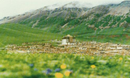 以保護(hù)促脫貧 以脫貧助保護(hù)——長(zhǎng)江源頭第一縣的生態(tài)發(fā)展選擇