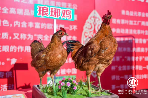 慶祝豐收、弘揚(yáng)文化、振興鄉(xiāng)村 2019年瑯琊鎮(zhèn)中國(guó)農(nóng)民豐收節(jié)開(kāi)啟