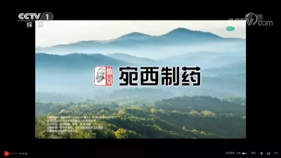 仲景牌六味地黃丸，始終堅守在央視一套新聞欄目的地黃丸