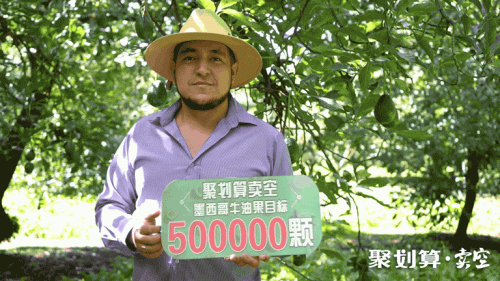 發(fā)力下沉市場(chǎng) 聚劃算助力打造墨西哥牛油果國(guó)家地標(biāo)品牌