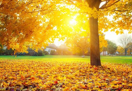 豐富產品供給 金秋文旅市場持續(xù)火熱