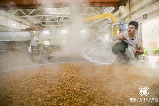 2019秋季全國糖酒會即將啟動 北派濃香代表651.png