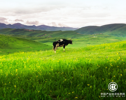 合生元阿爾法星多重保護，為寶寶成長保駕護航