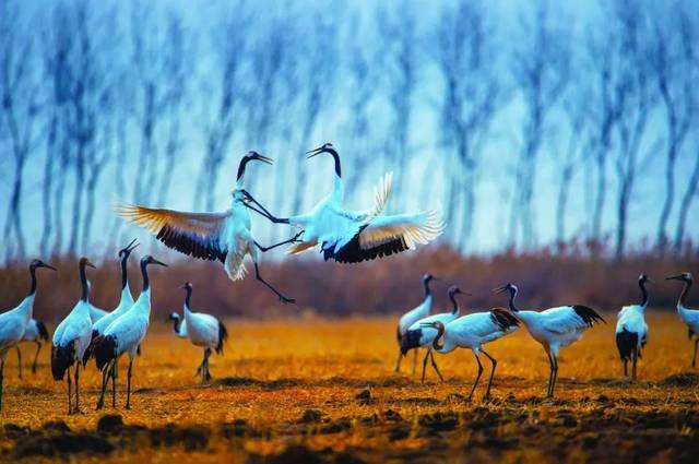 自然遺產(chǎn)申報促使科學家具備全球視野