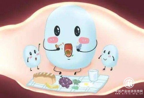 吃了成人益生菌感覺(jué)沒(méi)用？可能是踩了這3大誤區(qū) 