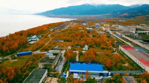 布局俄羅斯健康產(chǎn)業(yè) 西伯利亞白樺茸助力健康老齡化 