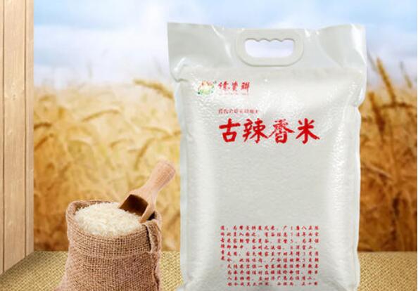 廣西賓陽縣全面推進“古辣香米”產(chǎn)業(yè)升級發(fā)展