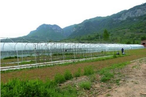 “多”與“少”之間的轉(zhuǎn)換——湖北省推進(jìn)綠色種養(yǎng)循環(huán)農(nóng)業(yè)試點(diǎn)