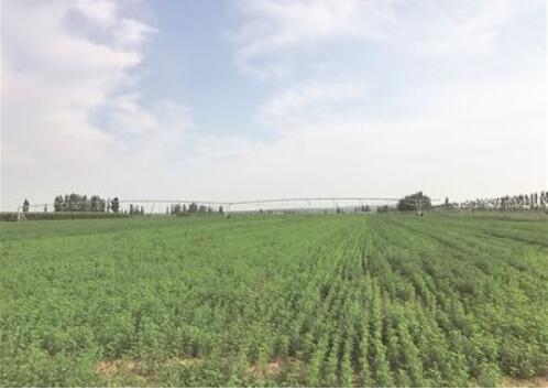 山西省立法促進雁門關(guān)農(nóng)牧交錯帶發(fā)展