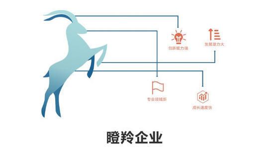 2019中國(guó)瞪羚企業(yè)榜單 臨沂91家企業(yè)入圍