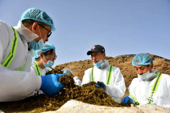 蒙牛打造“三位一體”扶貧樣本 助力脫貧攻堅