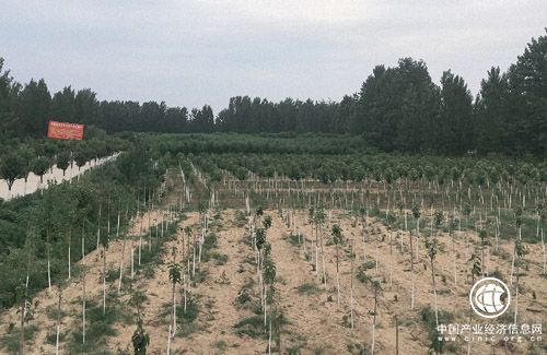 河南省南召縣南河店鎮(zhèn)：培育富民產(chǎn)業(yè)，助推脫貧攻堅