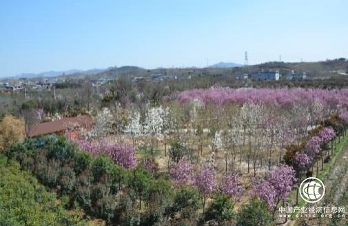 河南省南召縣云陽鎮(zhèn)：社會扶貧助力“拔窮根”