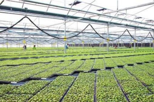 機械裝備讓現(xiàn)代農(nóng)業(yè)更有“勁”