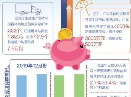 扶持政策加快落地，生豬出欄實(shí)現(xiàn)止跌回升——全國豬肉供需矛盾持續(xù)緩解