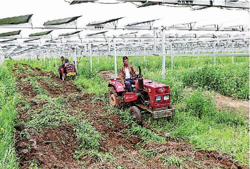 發(fā)展有奔頭、農(nóng)民嘗甜頭 “攥指成拳”推進(jìn)脫貧地區(qū)幫扶產(chǎn)業(yè)高質(zhì)量發(fā)展