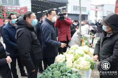 山東南菜園蘭陵日供蘇州2000噸蔬菜豐富市民菜籃子