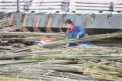 村里路寬了，人思路活泛了——粵桂扶貧協(xié)作助力貧困縣發(fā)展