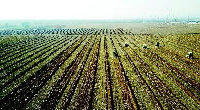 早行動(dòng) 搶農(nóng)時(shí) 抓生產(chǎn) 山西省安排部署春耕備耕工作