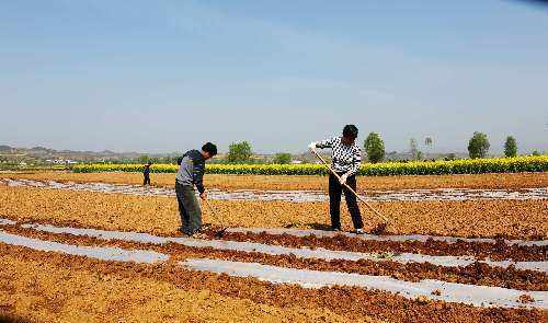 搶抓農(nóng)時 各地有序推進(jìn)春季農(nóng)業(yè)生產(chǎn)