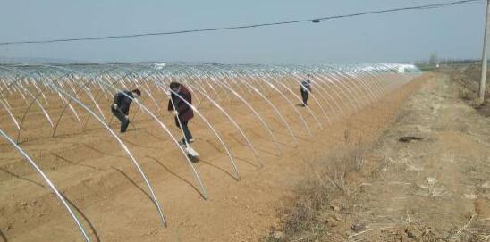 河南方城縣小史店鎮(zhèn)培育特色產(chǎn)業(yè)  助力脫貧攻堅