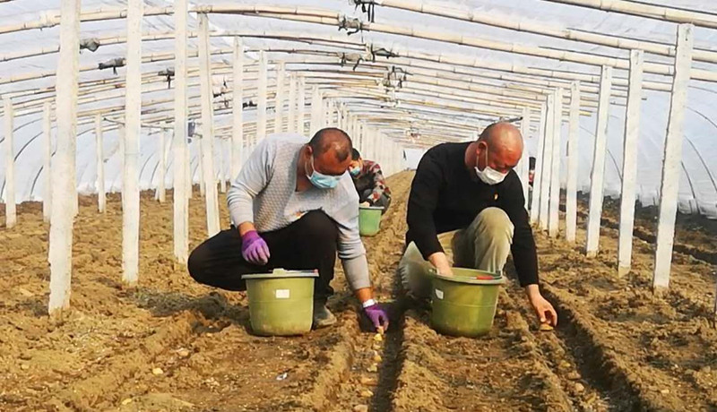 正值春光好 不誤農(nóng)耕事——全國多地積極做好春耕備播保生產(chǎn)工作