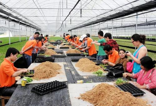 三部門部署就業(yè)扶貧工作 力爭外出務工規(guī)模不降低有提高