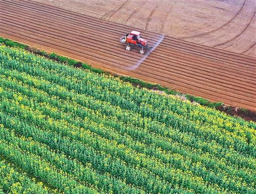 穩(wěn)農(nóng)業(yè)，底氣足！多地農(nóng)業(yè)生產(chǎn)有序開展