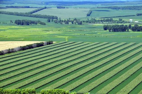 今年山西全省主推5大類40項農(nóng)業(yè)生產(chǎn)技術(shù)