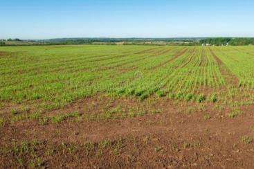 確保不誤農(nóng)時(shí)！福建出臺(tái)扎實(shí)抓好春季農(nóng)業(yè)生產(chǎn)二十條措施