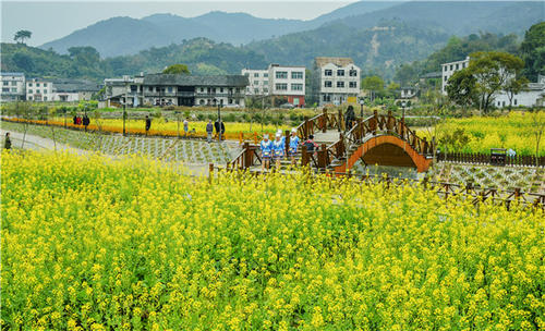 畫好統一戰(zhàn)線“同心圓” 奏響鄉(xiāng)村振興“協奏曲”