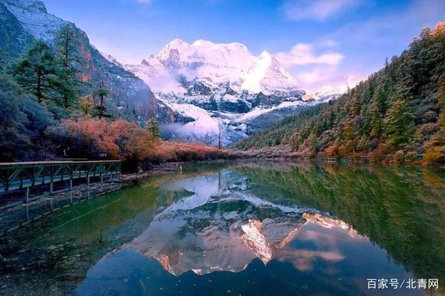 疫情之后，馬蜂窩、攜程、飛豬等布局“云旅游”