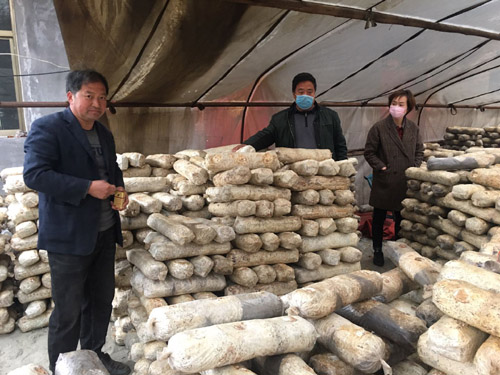 河南省南召縣小店鄉(xiāng)：脫貧致富種香菇，產(chǎn)業(yè)扶貧有路子
