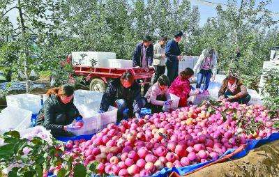 “十三五”時(shí)期我國(guó)產(chǎn)業(yè)扶貧、消費(fèi)扶貧成果豐碩
