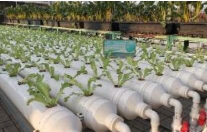 河北省強化數(shù)字支撐加速農(nóng)業(yè)智慧化轉型