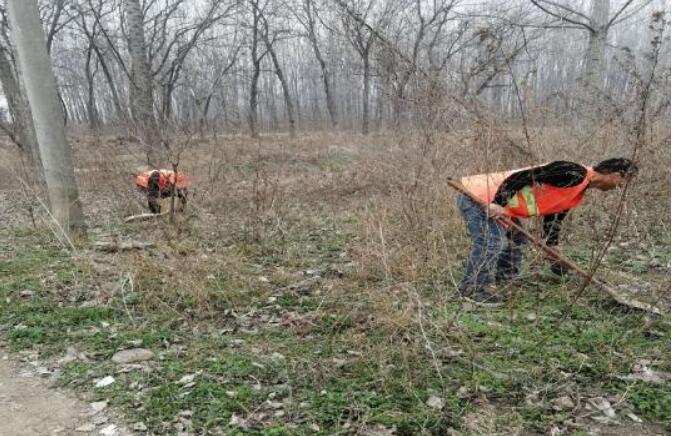 河南省南召縣云陽鎮(zhèn)：合理開發(fā)公益崗，變“輸血”為“造血”