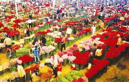 2000億元、500萬人……從“顏值”到產(chǎn)值 “美麗經(jīng)濟”激發(fā)消費新活力