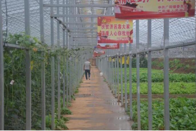 河南省方城縣廣陽鎮(zhèn)以高質(zhì)量發(fā)展帶動(dòng)貧困群眾穩(wěn)定脫貧